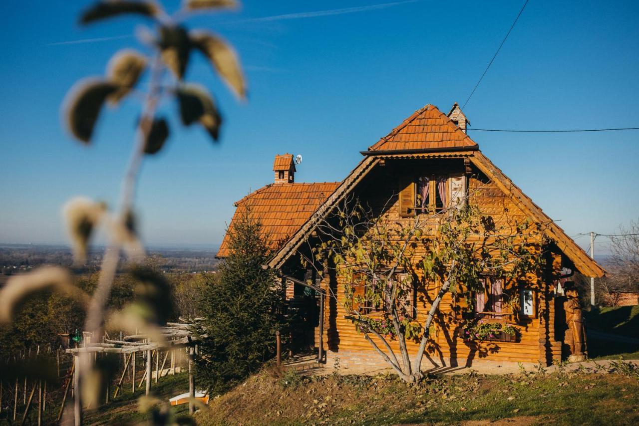 Holiday Home Wine & Relax Sveti Martin Na Muri Gornji Koncovcak Eksteriør billede