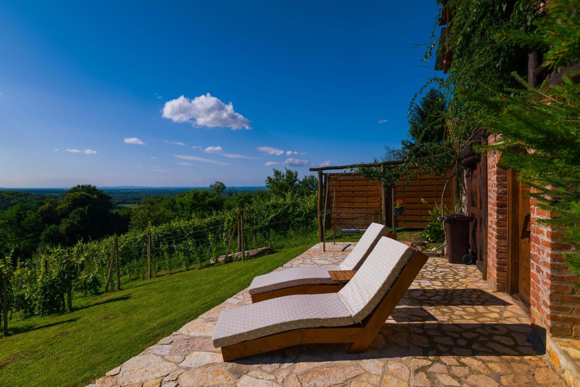 Holiday Home Wine & Relax Sveti Martin Na Muri Gornji Koncovcak Eksteriør billede