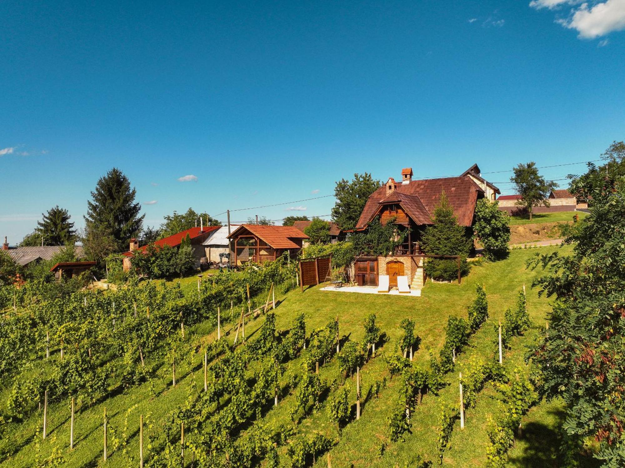 Holiday Home Wine & Relax Sveti Martin Na Muri Gornji Koncovcak Eksteriør billede